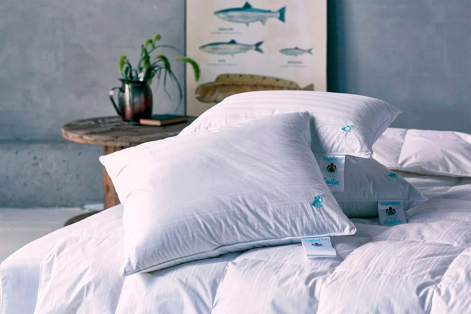 Kudde Cecilia 3-kamrar medium EngmoDun Kudde Cecilia 3-kamrar Medium -Himla ONLINE ell 1518876 01 Bs