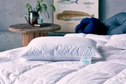 EngmoDun Kudde Cecilia 3-kamrar Låg 3 EngmoDun Kudde Cecilia 3-kamrar Låg -Himla ONLINE ell 1518877 01 Bs